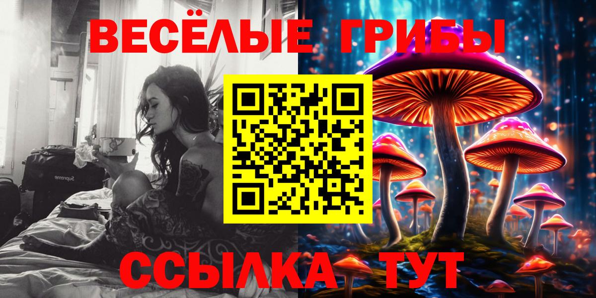 Нововоронеж  Галлюциногенные грибы Psilocybine cubensis  Вход с VPN 