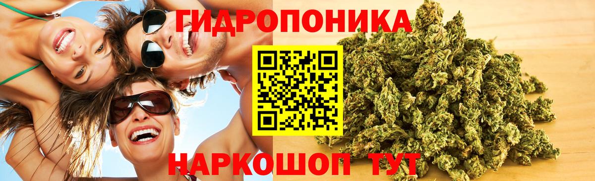 Шишки марихуана Bruce Banner  Шишки марихуана LSD WEED  Вход с VPN  Нововоронеж  Канабис план 